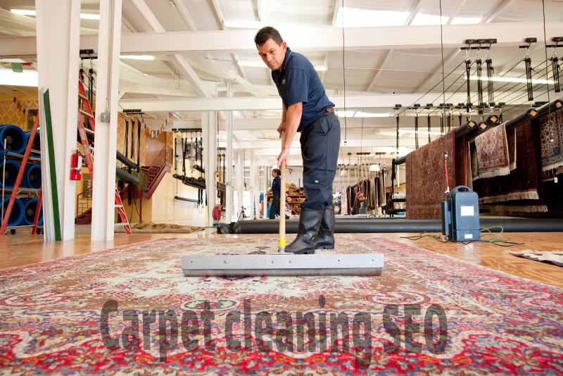 سئو سایت قالیشویی